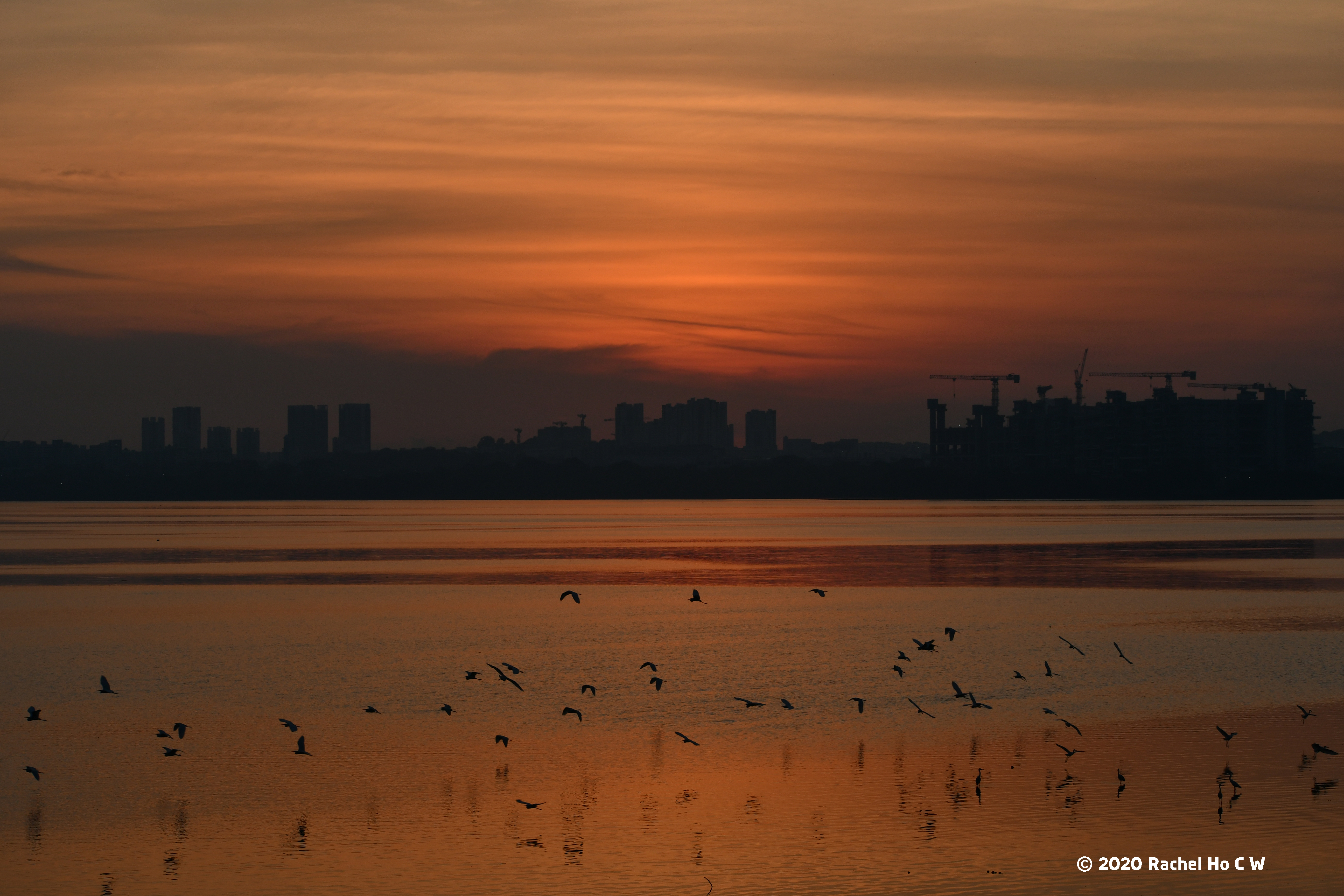 Image 8643 Sunrise at Sungei Buloh